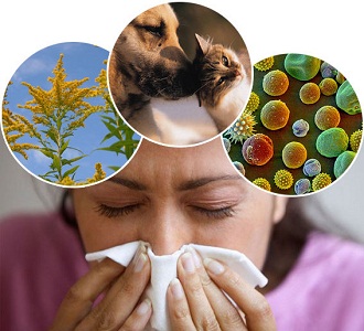 Аллергия и бронхит