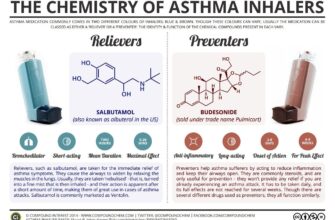 obzor ingalyatorov primenyaemyh pri bronhialnoj astme