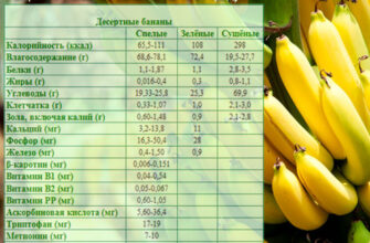 banany poleznye svojstva pishhevaya cennost 1